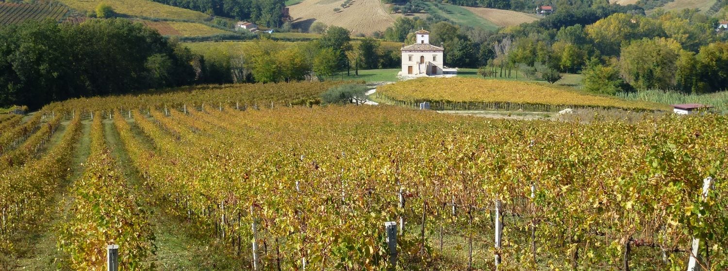 Autumn vineyards and a country villa in the Val di Foro hills near Casacanditella, Abruzzo