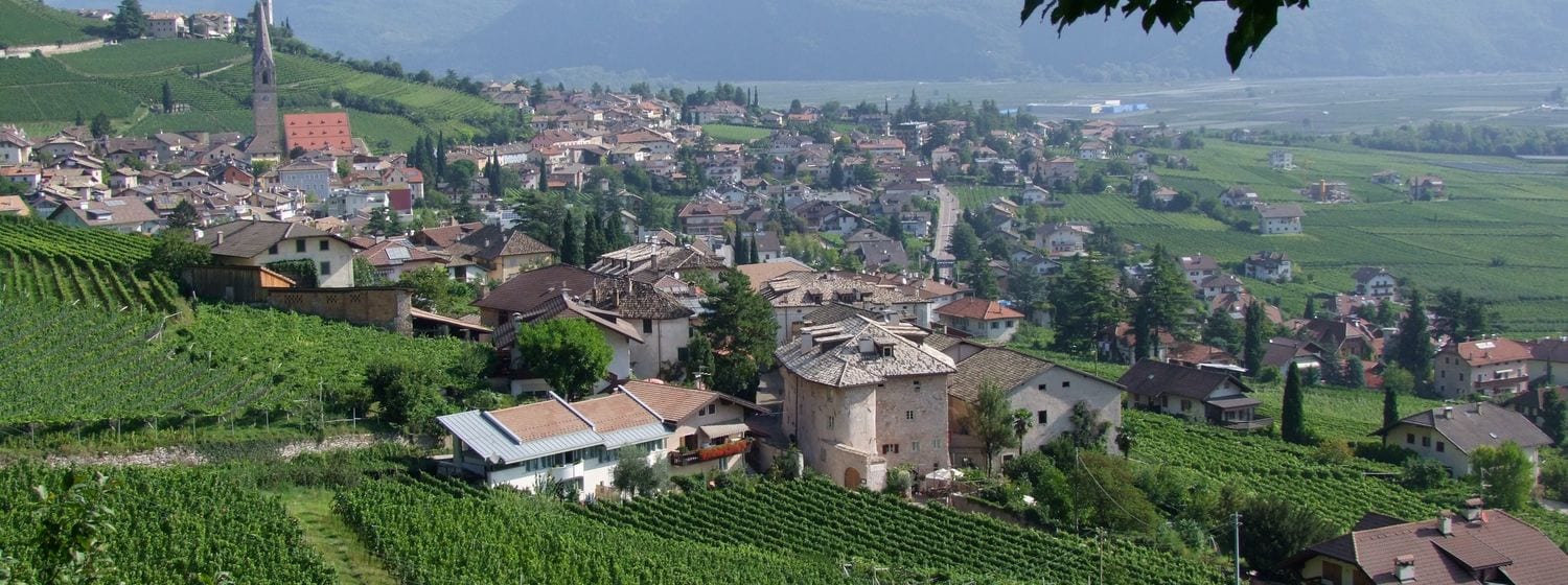 Vineyards around Tramin (Termeno) on the South Tyrol Wine Road, with the village church spire and Adige valley mountains