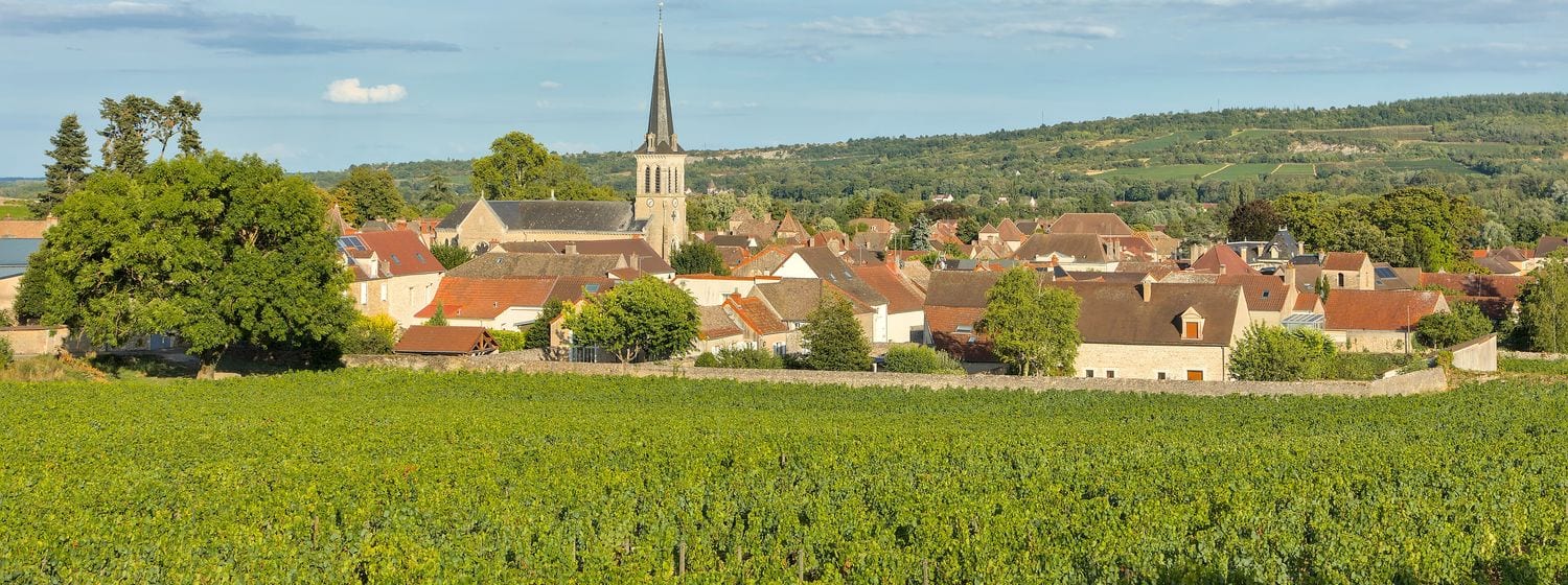 The village of Santenay and its church spire rising from the Côte de Beaune vineyards