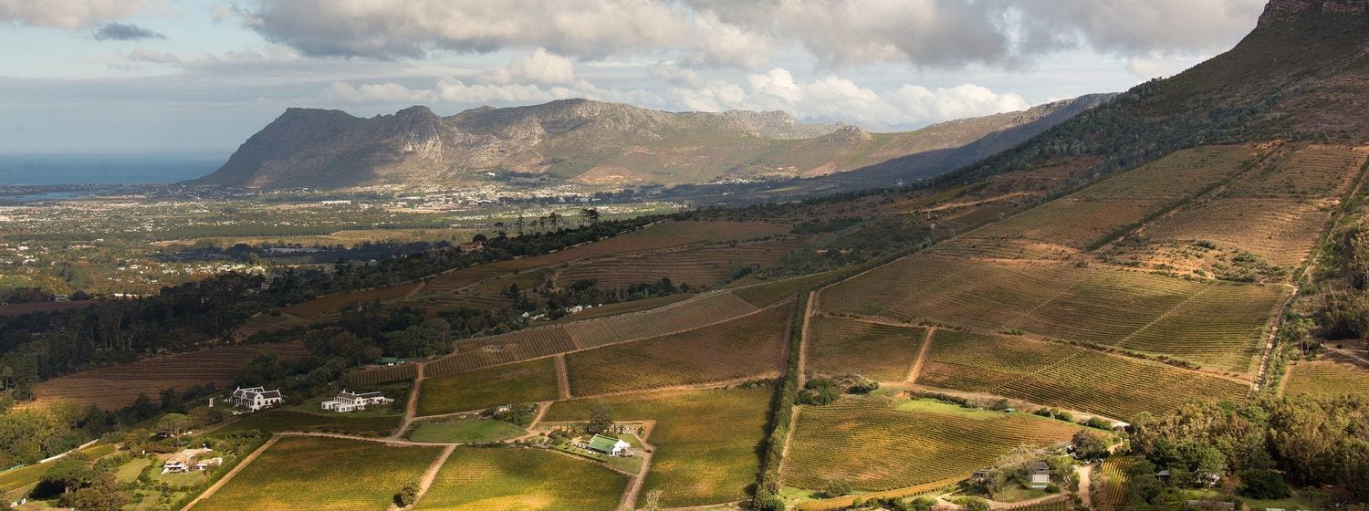 Constantia vineyards in early autumn with the Constantiaberg mountains of the Cape Peninsula behind