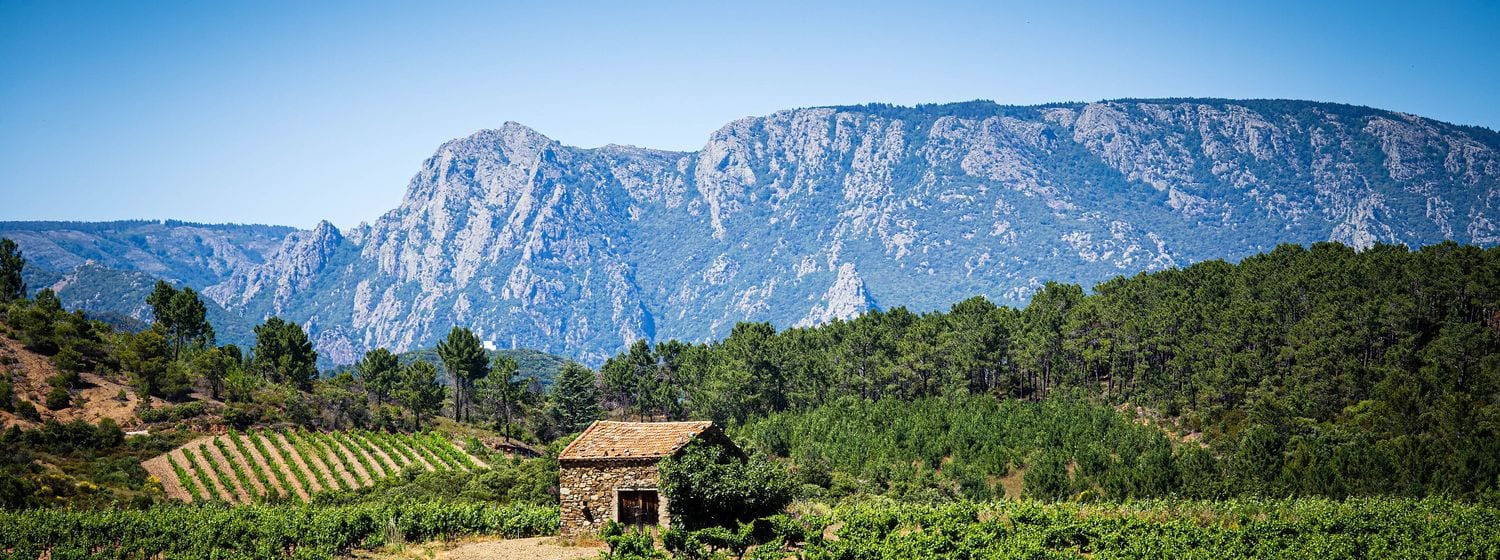 Saint-Chinian vineyards and a stone hut below the cliffs of Mont Caroux, Hérault