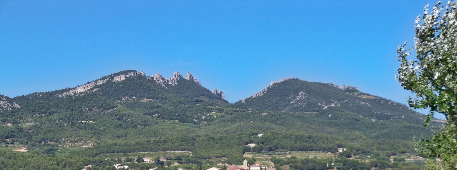 Vineyards around the village of Vacqueyras below the jagged Dentelles de Montmirail