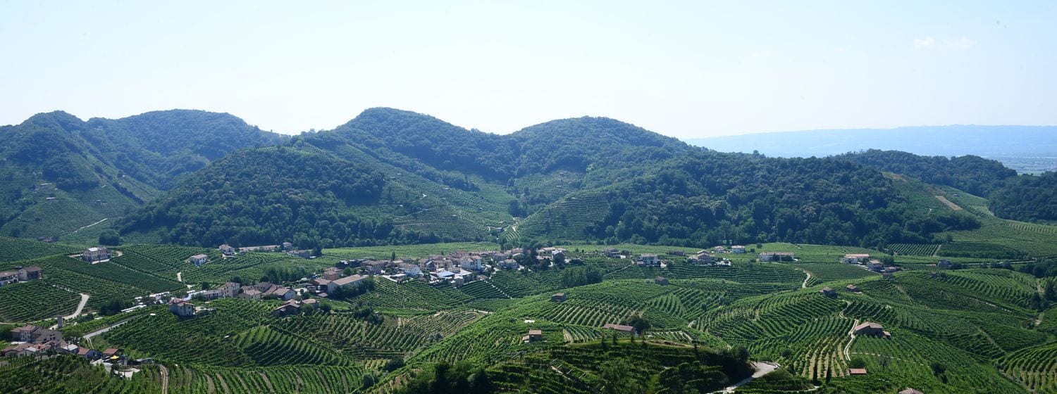 The steep Prosecco vineyard bowl of Cartizze below the village of Santo Stefano, Valdobbiadene, in the Veneto's UNESCO-listed Prosecco hills