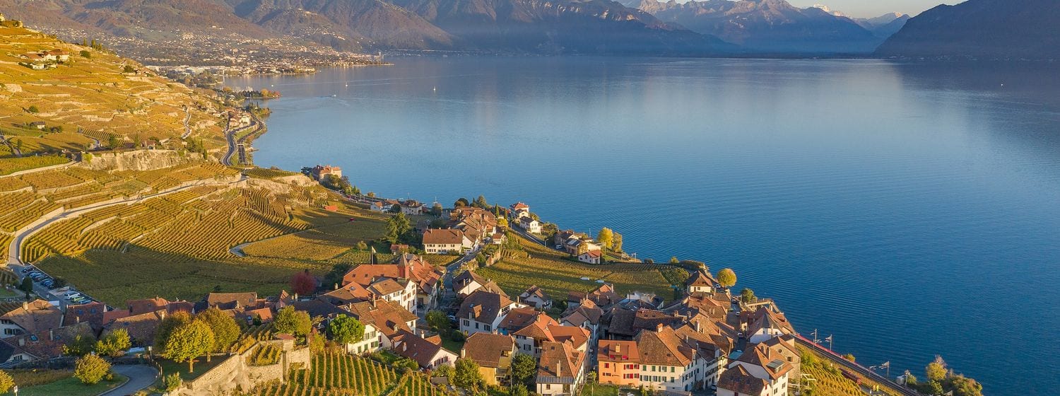 Aerial view of the Lavaux terraced vineyards and village above Lake Geneva with the Alps beyond, Switzerland