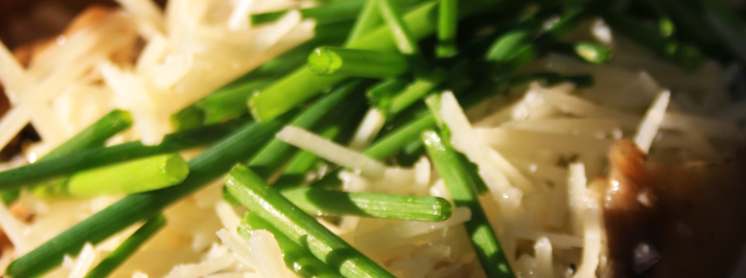 A plate of creamy mushroom risotto